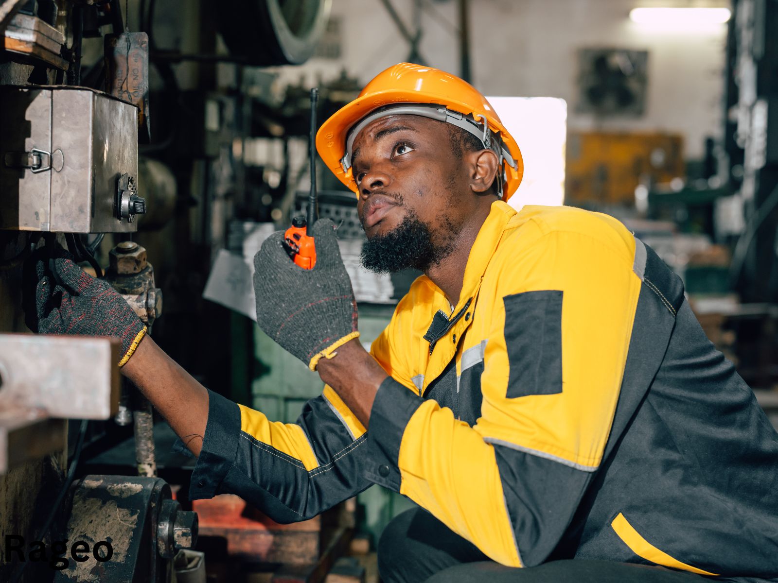 RAGEO LIMITED industrial equipment delivery and installation